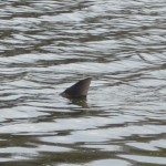 20130507-103653.jpg