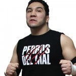 Perro Aguayo Jr Death