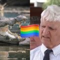 Bob Katter